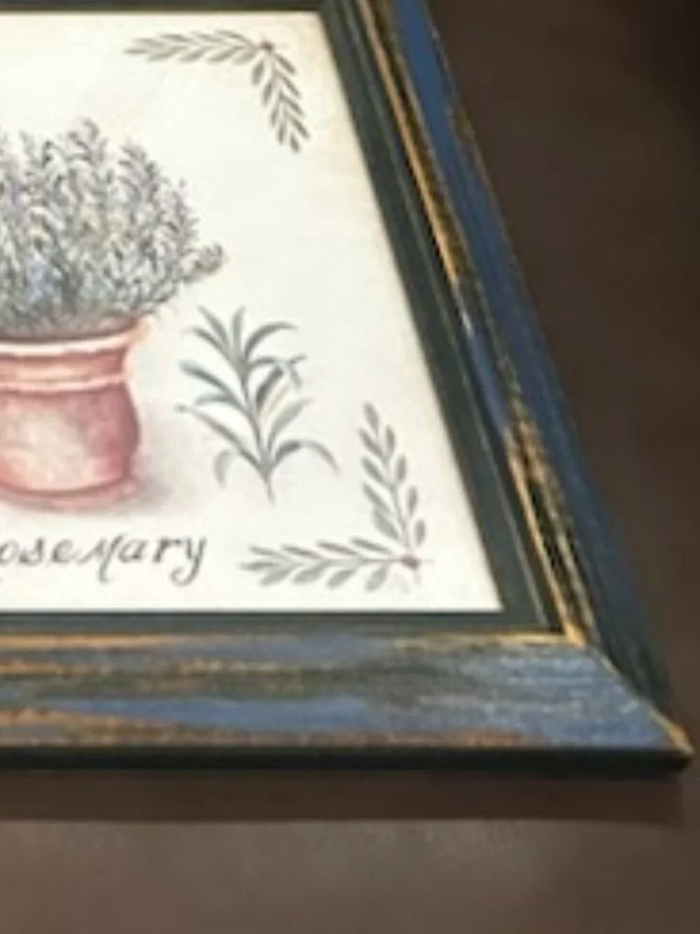 Set of 4 Vintage Watercolor French Country Herb Botanical Framed Prints